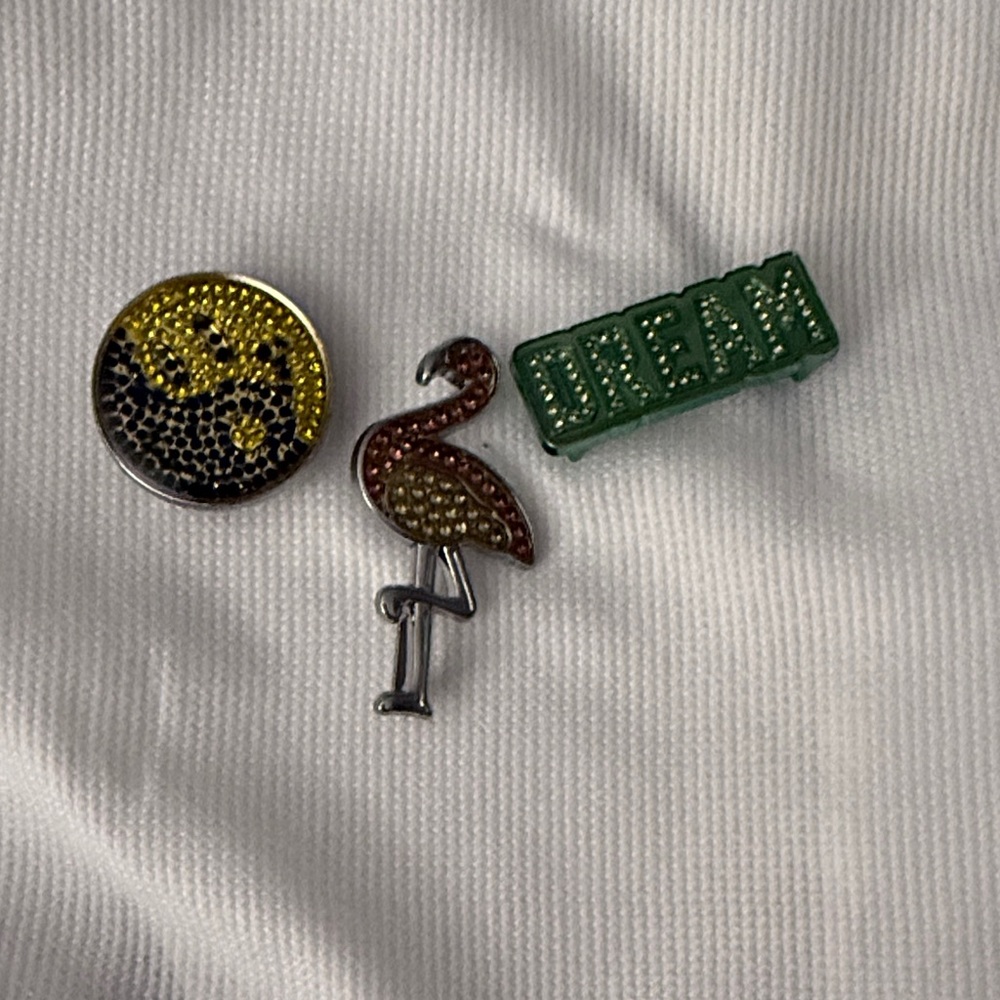 Golden goose Shoe Charms 3